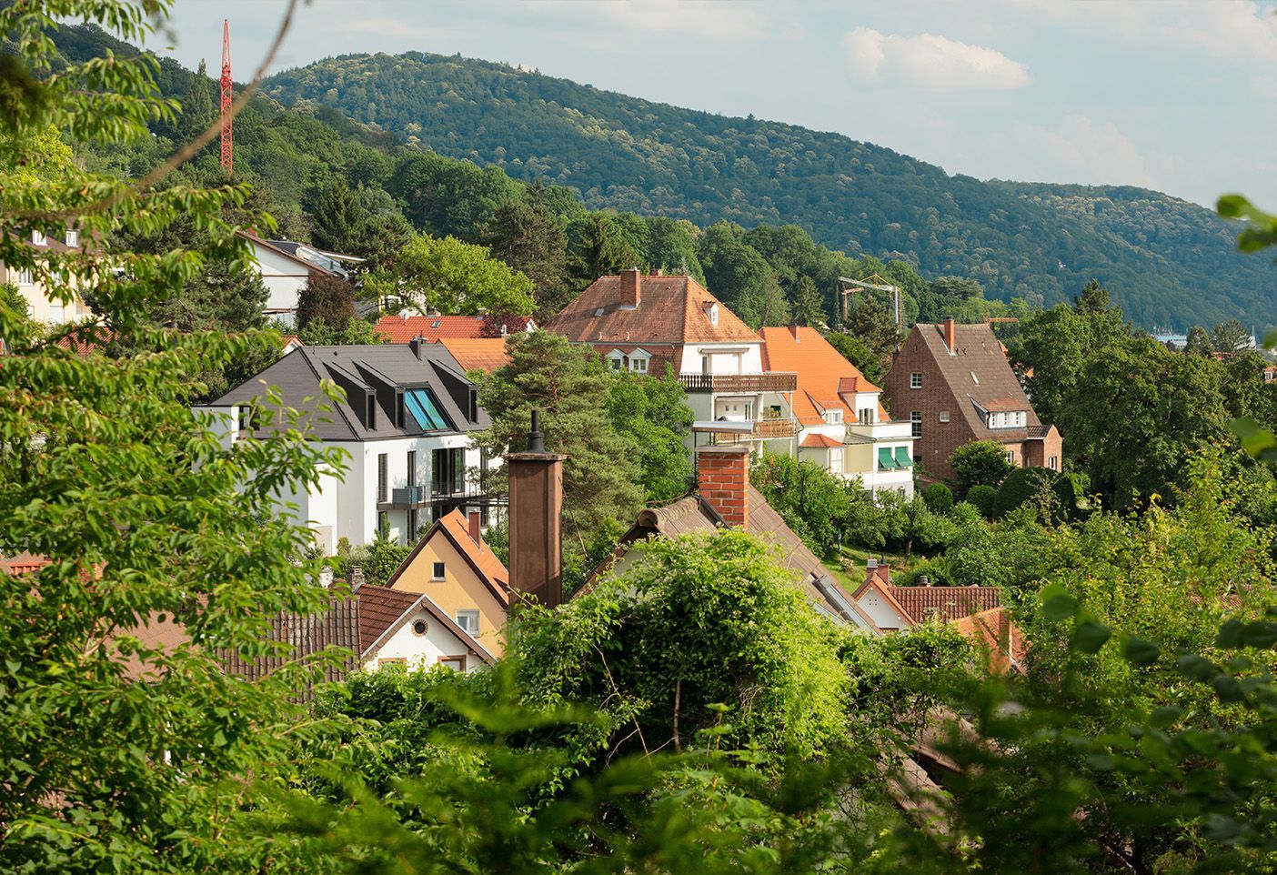 Panorama