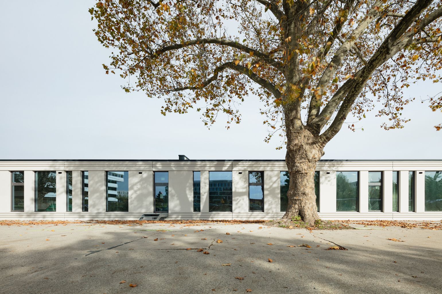 Pharmaunternehmen AGC Biologics GmbH